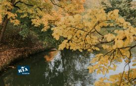 Ще трохи осінньої прохолоди — і знову майже літо