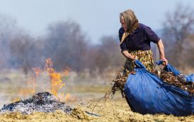 Спалювання сухої рослинності заборонене законом. Нагадуємо штрафи та відповідальність