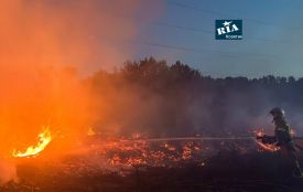 Сухостій горів майже по всій Вінниччині: за день рятувальники гасили сім пожеж
