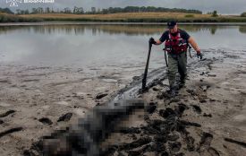 Трагедія на Козятинщині. Зі спущеного ставка рятувальники дістали мертвого чоловіка