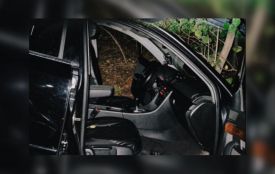 ДТП сталося вночі на Козятинщині: водій «Audi A 4» в'їхав у дерево