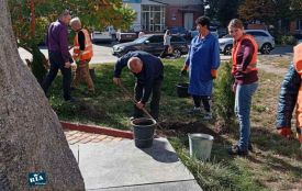 Біля пам’ятного знака Грушевському в Козятині висадили молоді туї