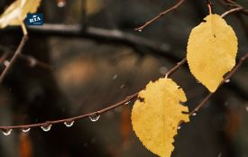 Історія, заборони та прикмети 11 жовтня
