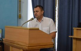 Глухівчани б'ють на сполох. На території громади йде тотальна вирубка лісу