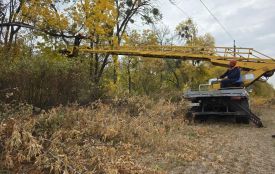 Козятинські енергетики розчищають хащі біля ліній електропередач
